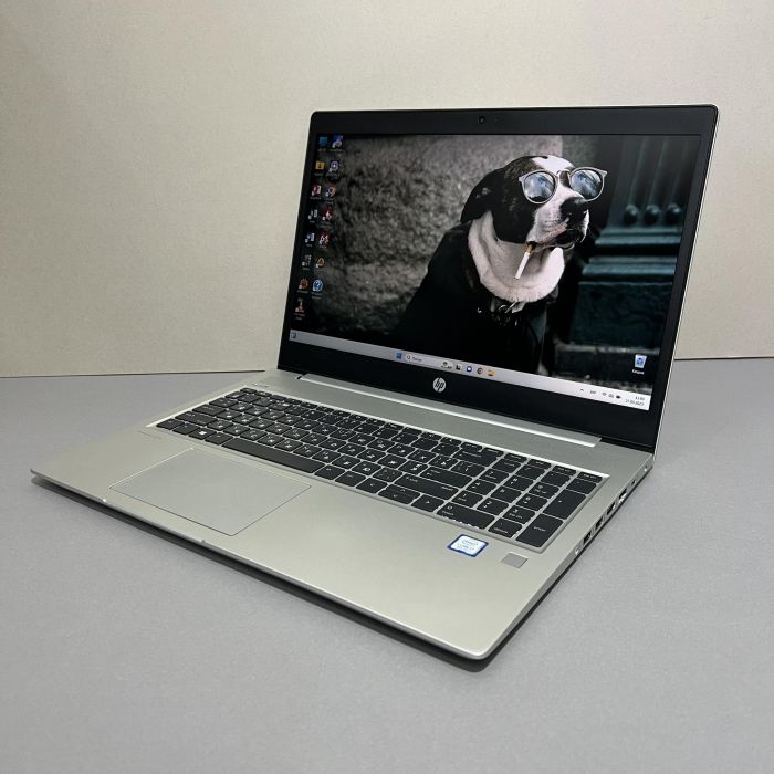 Ноутбук HP ProBook 450 G6