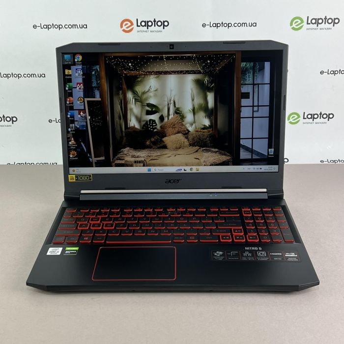 Ноутбук Acer Nitro 5 AN515-65-53AG