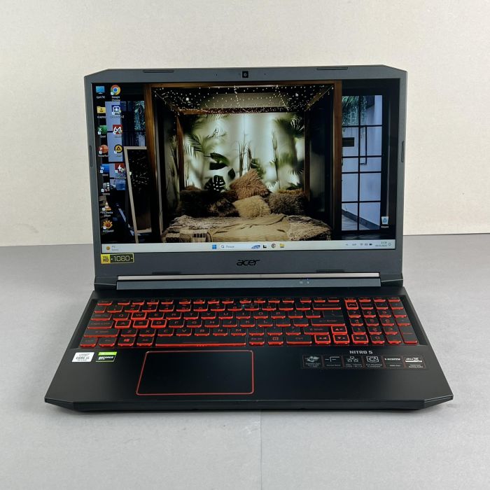 Ноутбук Acer Nitro 5 AN515-65-53AG