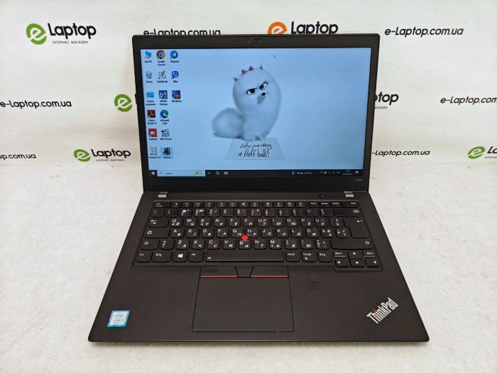 Lenovo ThinkPad T480s
